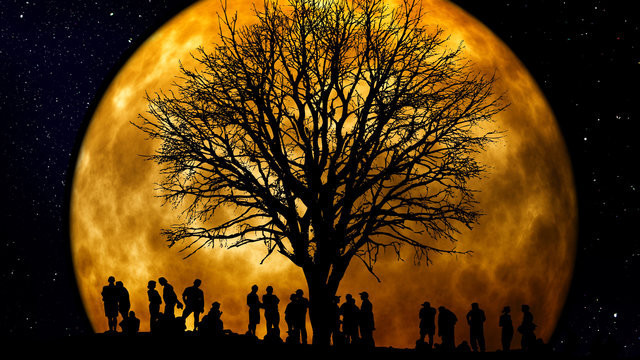 Bu formülle soy ağacında 1300'lü yıllara ulaşabilirsiniz - Resim: 3