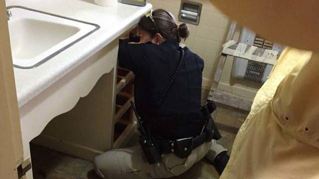 Çıplak elle yakaladı! Tam iki metre boyunda - Resim: 2