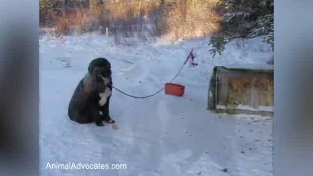 -40 derece soğukta 4 yıl boyunca akılalmaz işkence! - Resim: 3
