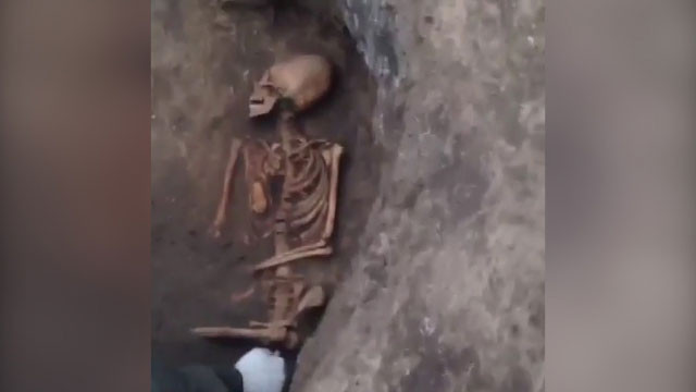 Rusya'da bulundu! Hollywood filmlerindeki uzaylılara benzetildi! - Resim: 4