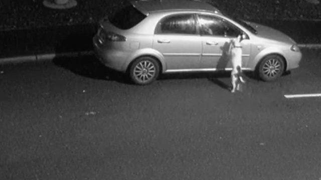 Sahibinin terk ettiği köpeği ünlü şarkıcı sahiplendi - Resim: 1