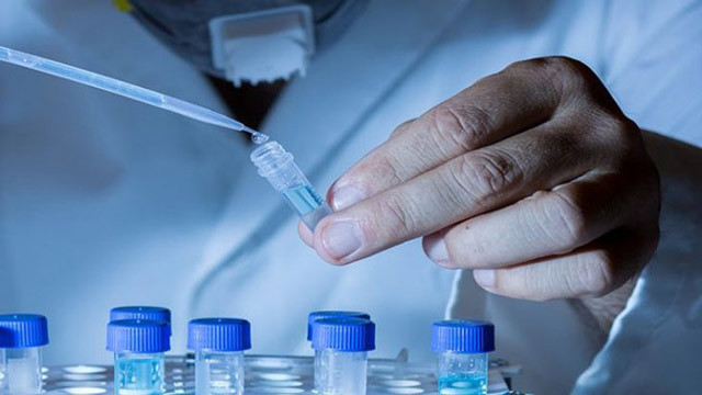 Kanseri yok eden ilacı bulduk! Bilim insanları açıkladı - Resim: 2