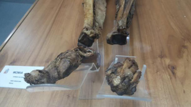 Kıyafetleri bile bozulmayan Guano Mumyası'nın sırrı çözüldü! - Resim: 4