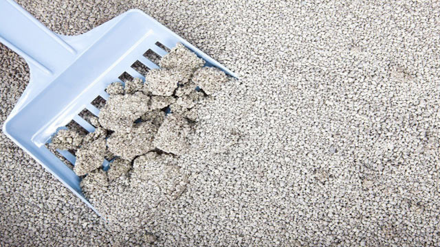 Evinizde bulunan bu malzemeler... - Resim: 2