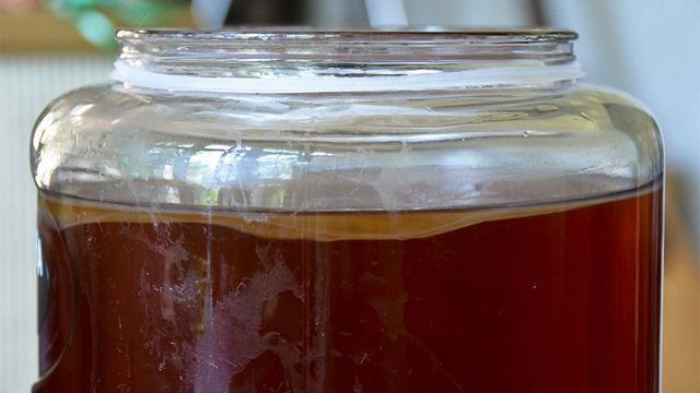 Çinliler sonsuzluk iksiri diyor! 2200 yıllık Kombucha'da uzun yaşamın sırrı gizli - Resim: 4