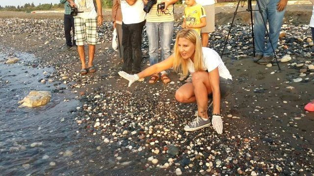 Konser verecek ünlü isimlere veto! İptali için bakanlığa başvuruldu! - Resim: 3