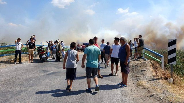 İzmir'in ardından şimdi de yer Balıkesir Edremit! Alevler sahile kadar indi - Resim: 2