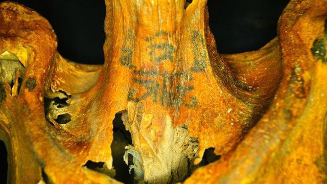 Mısır'da 3 bin yıllık mumyadan çıktı! Cinsellikle ilgili sadece kızıl ötesi ışınlar gösteriyor - Resim: 4