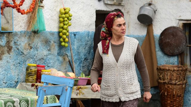 Giydiği elbise olay oldu! Zümrüdü Anka'nın Zümrüt'ünün kalçasını gören... - Resim: 3