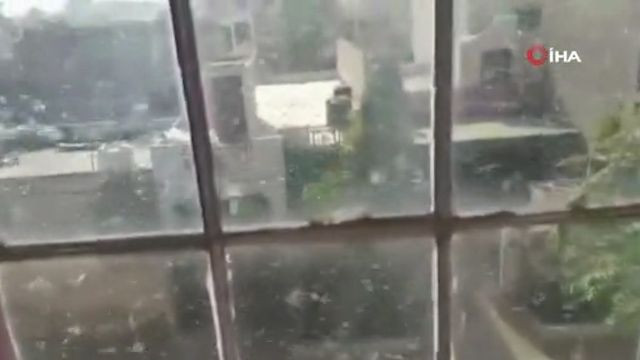 Hindistan'ı çekirgeler istila etti! On binlerce hektar mahsul yok oldu - Resim: 4