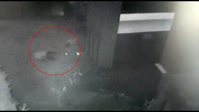 Daria Kyryliuk'un gördüğü şiddetin görüntüleri olay! İddiaları reddetti - Resim: 3