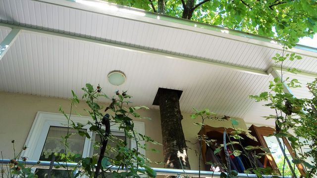 Ordulu öğretmen Atatürk'ten esinlendi! Yaptırdığı ev görenleri şaşırttı - Resim: 4