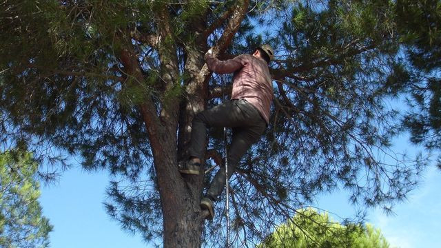 Aydın'da kilosunu 300 TL'den satıyorlar! 20 günde 15 ton topladılar - Resim: 3