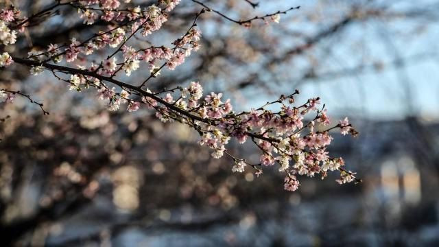 Herkesin beklediği açıklama geldi! Meteoroloji ve uzman isim duyurdu! İstanbul, İzmir, Muğla... - Resim: 2