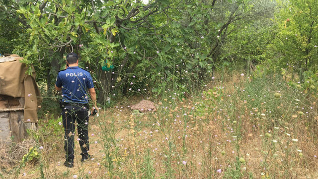 İncir toplamak için çıktı feci şekilde can verdi - Resim: 0