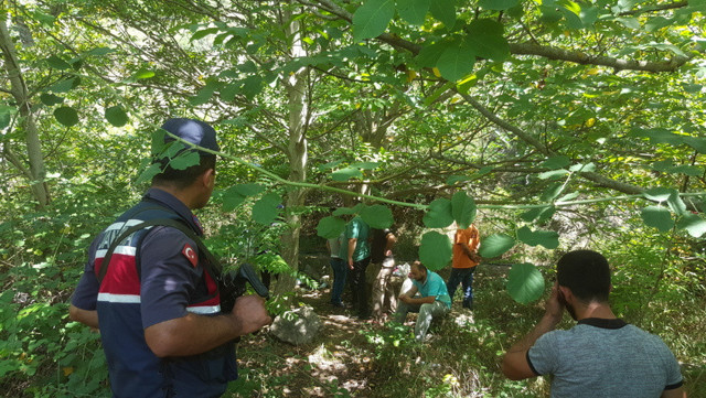 Sakarya'da 16 yaşındaki çocuk ölen annesine küfür eden kuzenini öldürmüş - Resim: 0
