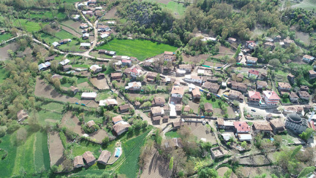 Samsun'da ambulans helikopterin tarlasına inmesine izin vermeyen kadın konuştu - Resim: 0