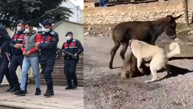 Berat Kaya kimdir nereli Berat Kaya olayı nedir gözaltına alındı - Resim: 0