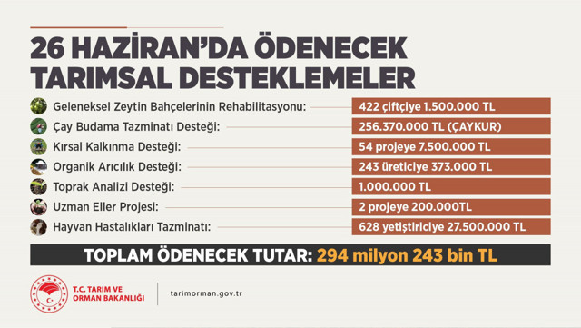 7 alanda daha destek ödemeleri başladı! Bakan Pakdemirli açıkladı - Resim: 0