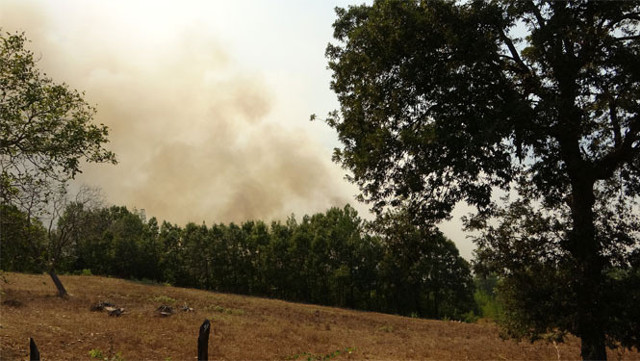 Kozan'da orman yangını! Köyler boşaltılıyor - Resim: 0