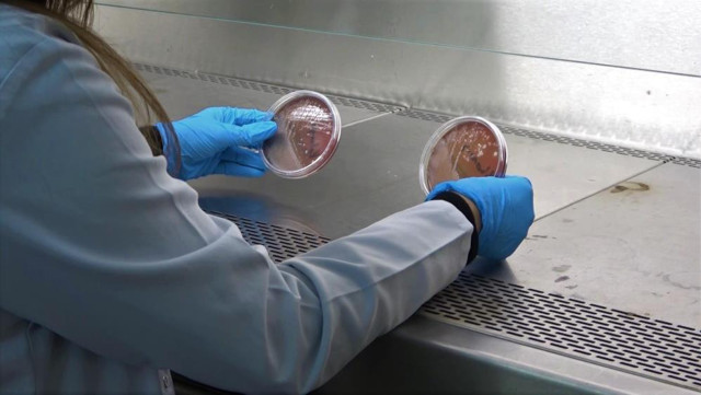 Yıkanan veya kolonya sıkılan maskede korkutan sonuç - Resim: 0