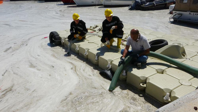 Deniz salyası varsa balık yenir mi? Bakanlığın test sonuçları açıklandı - Resim: 0