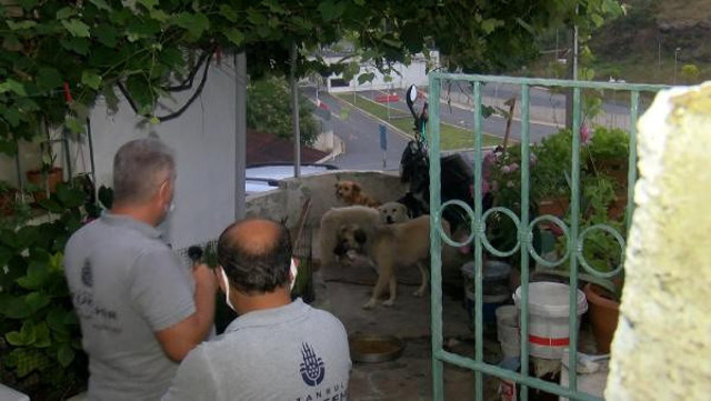 İstanbul'da 10 ilçede uyuşturucu baskını! 74 yaşında solunum cihazına bağlı çıktı - Resim: 1