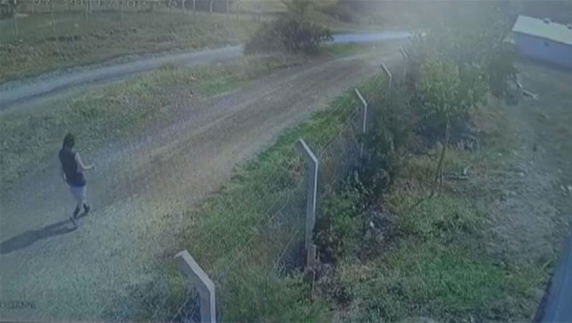 Kaçan kurbanlığı kovalarken kayboldu! Ankara'da kayıp tıp öğrencisi aranıyor - Resim: 0