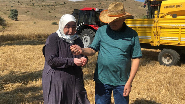 AK Parti Genel Başkanvekili Binali Yıldırım biçerdöver ile hasat yaptı - Resim: 0