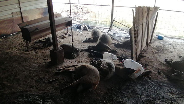 Manavgat'taki yangına evlerinde yakalandılar! Karı koca yanarak öldü - Resim: 0