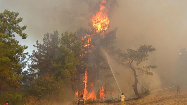 4 gündür süren Manavgat yangınından kahreden haber! 2 yangın işçisi yanarak öldü - Resim: 3