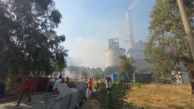 Termik santraldeki yangın ana kömür deposuna ulaşırsa ne olur? Uzmanlar açıkladı - Resim: 0