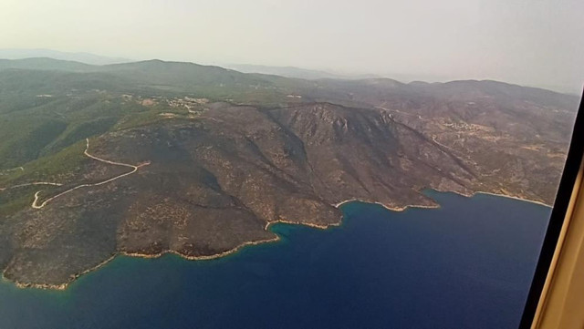 Bodrum, Marmaris, Köyceğiz, Milas yangınlarında son durum Bakan Pakdemirli güzel haberi duyurdu - Resim: 7