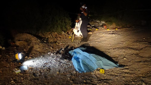 İzmir’de ormanlık alanda erkek cesedi bulundu - Resim: 0