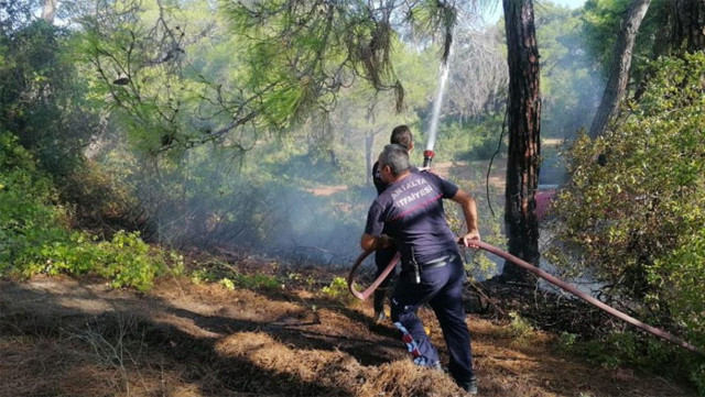 Manavgat'ta ormanı yakmaya çalışırken yakalandı - Resim: 1