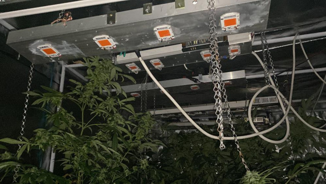 İstanbul’da tekstil atölyesinde milyonluk uyuşturucu serası! Baba ve oğlu yakaladı - Resim: 2