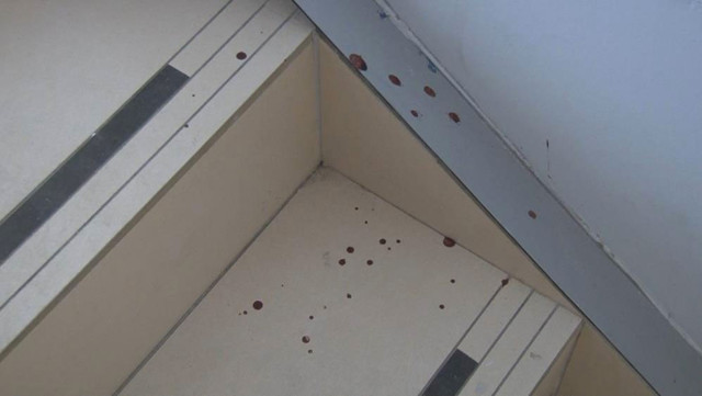 Semih Tufan Gülaltay'ın Maltepe'deki ofisine silahlı saldırı saldırgan olay yerinde öldürüldü - Resim: 0