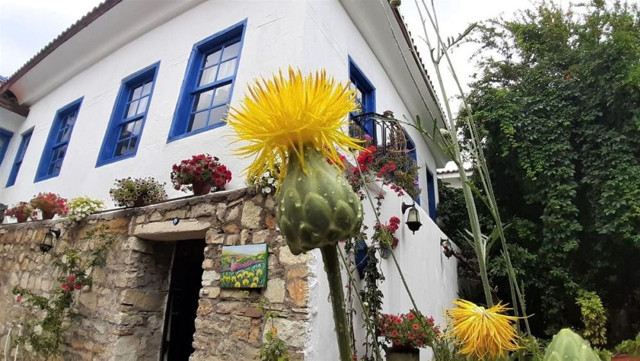 Tülüşah çiçeğini koparmanın cezası 109 bin TL - Resim: 0