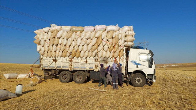 Gece saatlerinde çalışıyorlar günlük 500 lira kazanıyorlar - Resim: 1