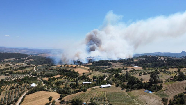 Milas'taki yangın kontrol altına alındı! Manisa'da yangın devam ediyor - Resim: 1