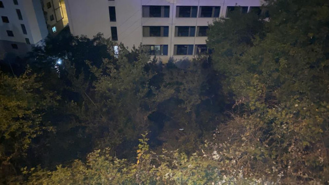 Otomobille ormanlık alana uçtu, 8 metre tırmanarak hastaneye gitti! - Resim: 0