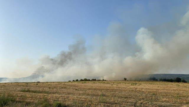 Manisa ve Elazığ’daki orman yangınları kontrol altına alındı! - Resim: 0