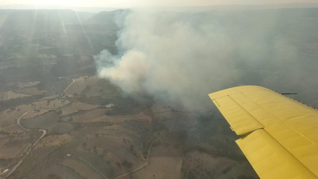 Manisa ve Elazığ’daki orman yangınları kontrol altına alındı! - Resim: 1