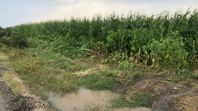 Ceviz kadar dolu yağdı meteoroloji demişti İstanbul'a geliyor Tekirdağ ve Çanakkale şaşkın - Resim: 2