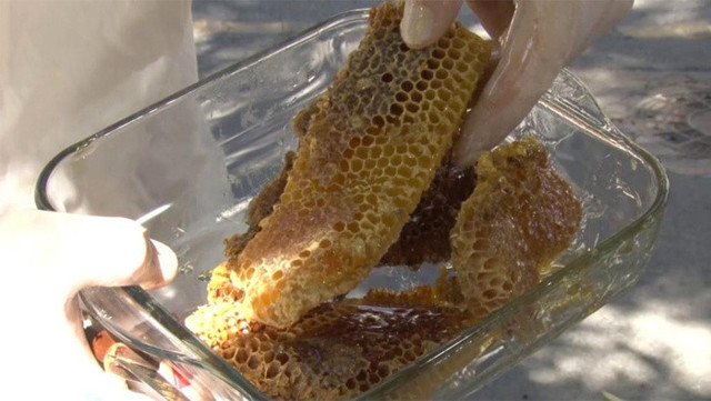 Kadıköy'de, cadde ortasında yetiştirdiği arılar bal verdi mahalleli bala doydu - Resim: 1