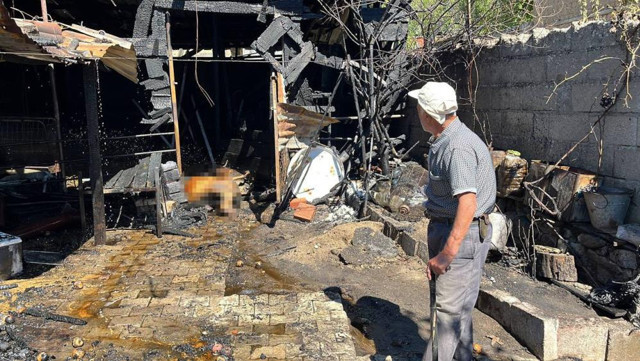 Çanakkale'de köyde çıkan yangında çok sayıda hayvan telef oldu - Resim: 1