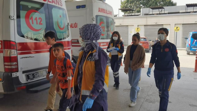 Öğrenciler kovana vurdu, arılar 15 öğrenciyi soktu! Okul tatil edildi - Resim: 0