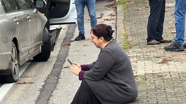 Park halinde bıraktı döndüğünde sinir krizine girdi bir çizik bile yapmamıştım - Resim: 0