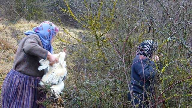 Kamyonet ile çarpışan otomobil adeta ikiye bölündü tavuklar yola savruldu köylü kadınlar harekete geçti - Resim: 1