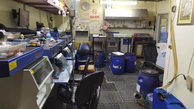 Gram gram çaldılar kimse fark etmedi! Değeri şoke etti önce göz hapsine alıp... - Resim: 0